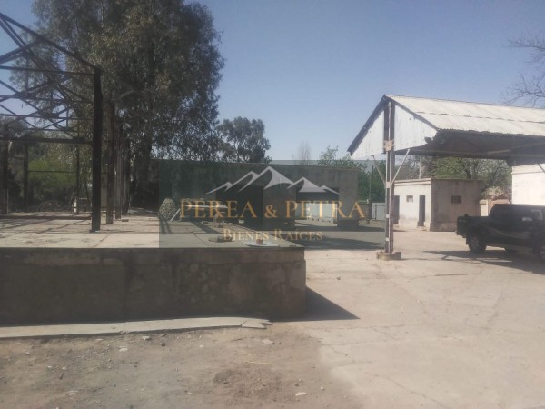 TERRENO -GALPON Y CASA - SAN RAFAEL