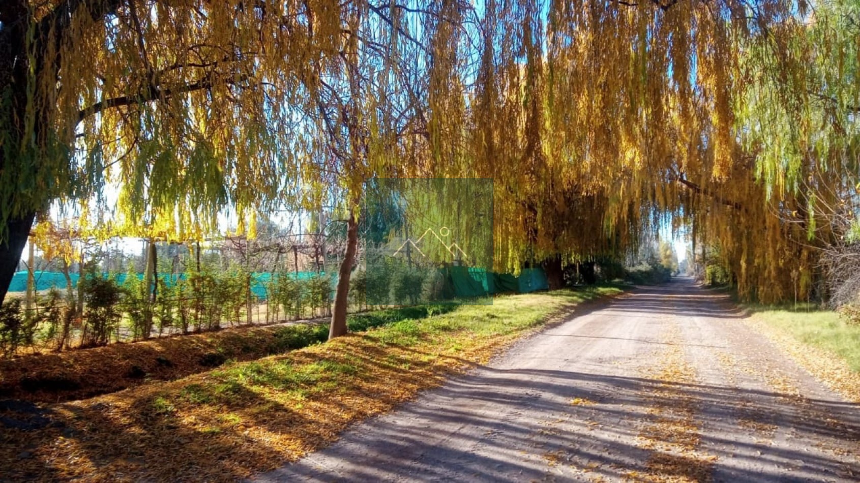 VENTA CASA QUINTA EN SAN RAFAEL