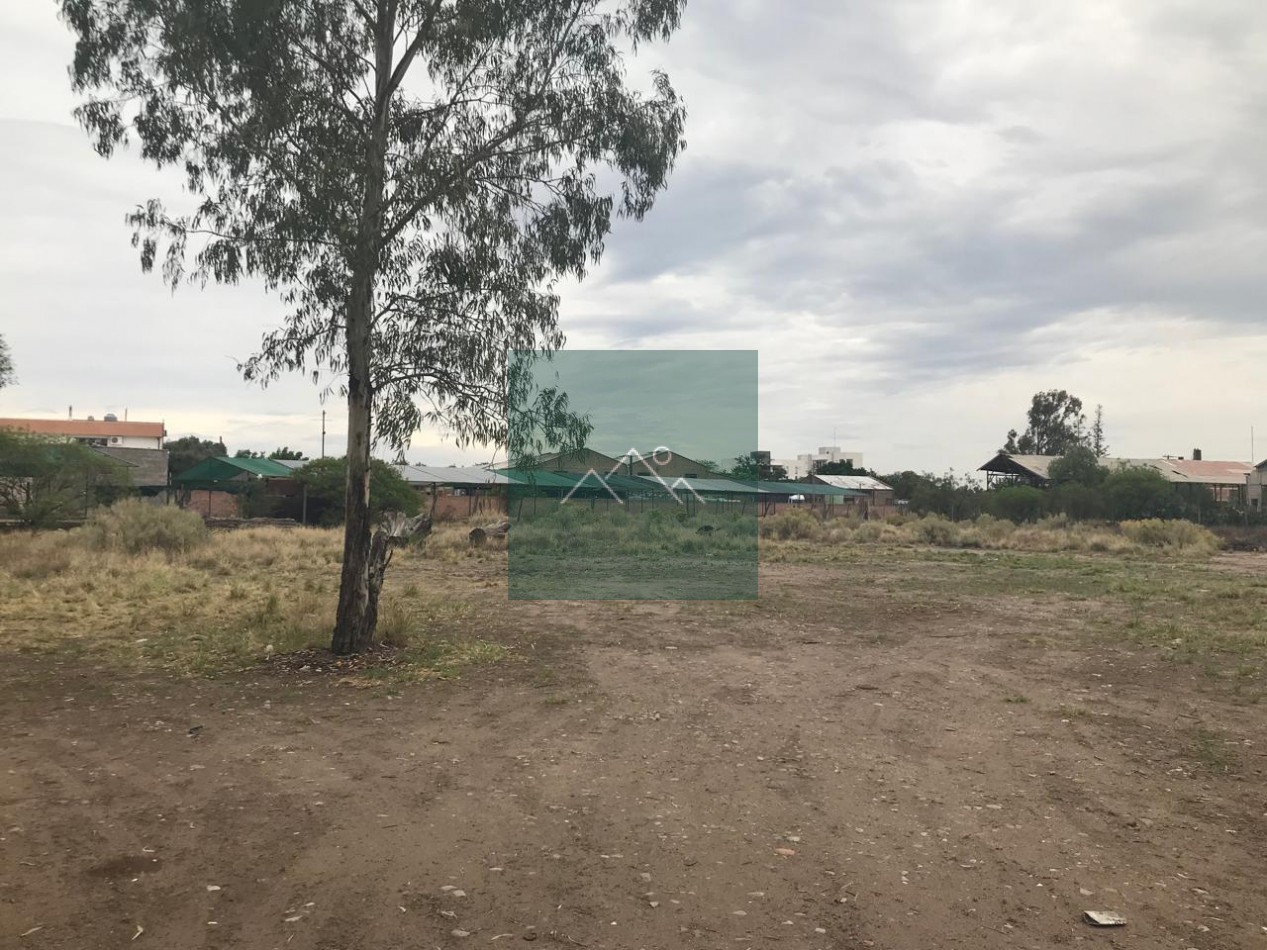 TERRENO -GALPON Y CASA - SAN RAFAEL