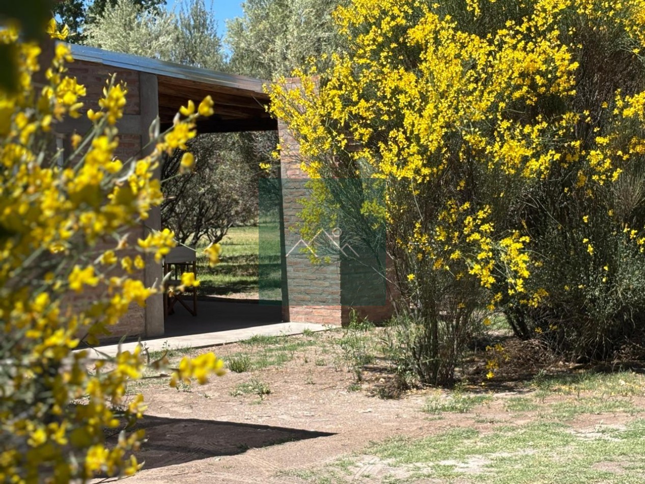 ALQUILER TURISTICO EN SAN RAFAEL